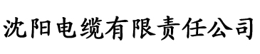 小雷大战高爱敏电缆厂logo